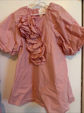 Zara Pink Ruffle Puff-Sleeve Dress